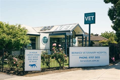 berwick vet